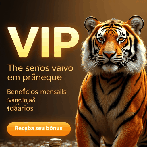 6566bet